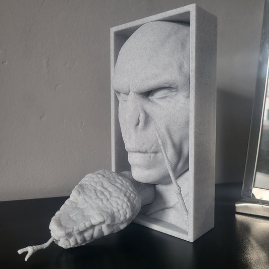 Lord Voldemort Wall Hanger / Book Nook